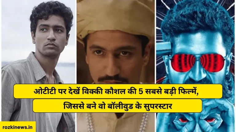Vicky Kaushal Top 5 Best Movies